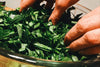 FarmDaddy® Raw Collard Green Salad