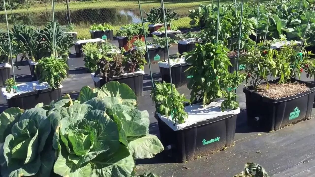 See Keith's FarmDaddy® Garden