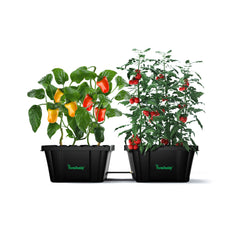 2 Self-Watering Raised Bed Garden Containers + Free Connection Hose /  No other Accessories with this bundle