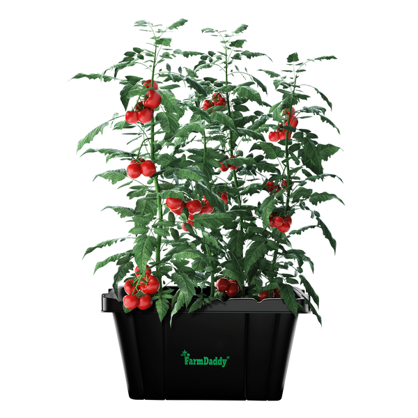 Self Watering Garden Box & GrowBox Planter