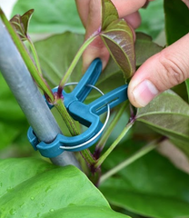 Tomato / Vining Plant Clips