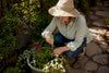 Vacation Plant Watering Made Easy for Home Gardeners