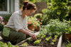 Low Maintenance Vegetable Garden for Busy Beginners