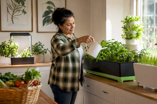 The Best Gardyn Alternatives for Home Growers in 2026