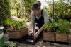 Best Automatic Watering System for Busy Gardeners