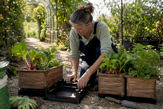 Best Automatic Watering System for Busy Gardeners