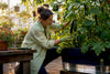 Cucumbers in Self-Watering Planters: Patio Grower's Guide