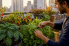 Container Gardening for Beginners: Easy Start Guide