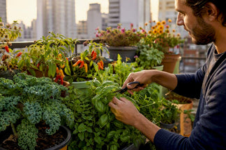 Container Gardening for Beginners: Easy Start Guide