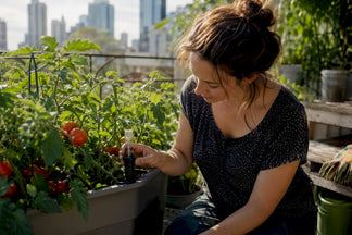 Tomato Self-Watering Planters: Grow More, Water Less