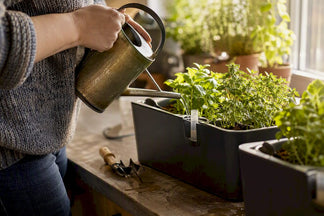 The Best Click and Grow Alternatives for U.S. Shoppers
