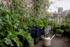 Grow More Food in a Small Space Vegetable Garden