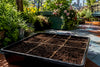 Square Foot Gardening Containers for Small Spaces