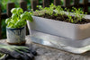 How Self-Watering Planters Work: A Clear Guide