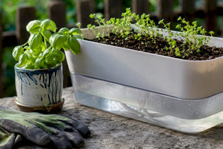 How Self-Watering Planters Work: A Clear Guide