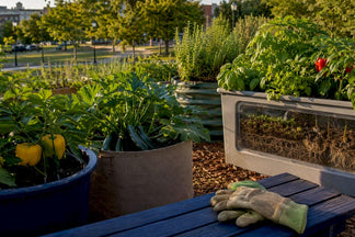 Container Depth for Vegetables: The Complete Grower's Chart