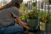 A Balcony Vegetable Garden Is Possible in Almost Any Small Space