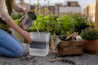 How to Eliminate Daily Watering and Grow a Healthier Garden