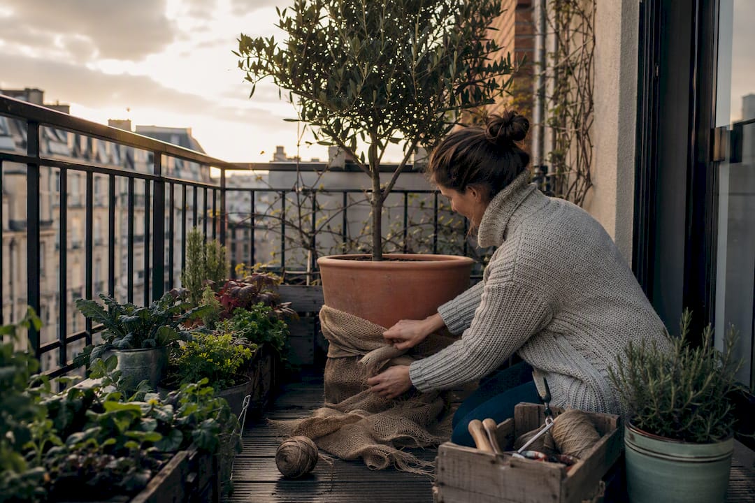 How to Winterize a Container Garden Before First Frost