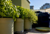 Keep Herbs Alive on Trips Up to Two Weeks With 12–14 Inch Pots and Reservoirs