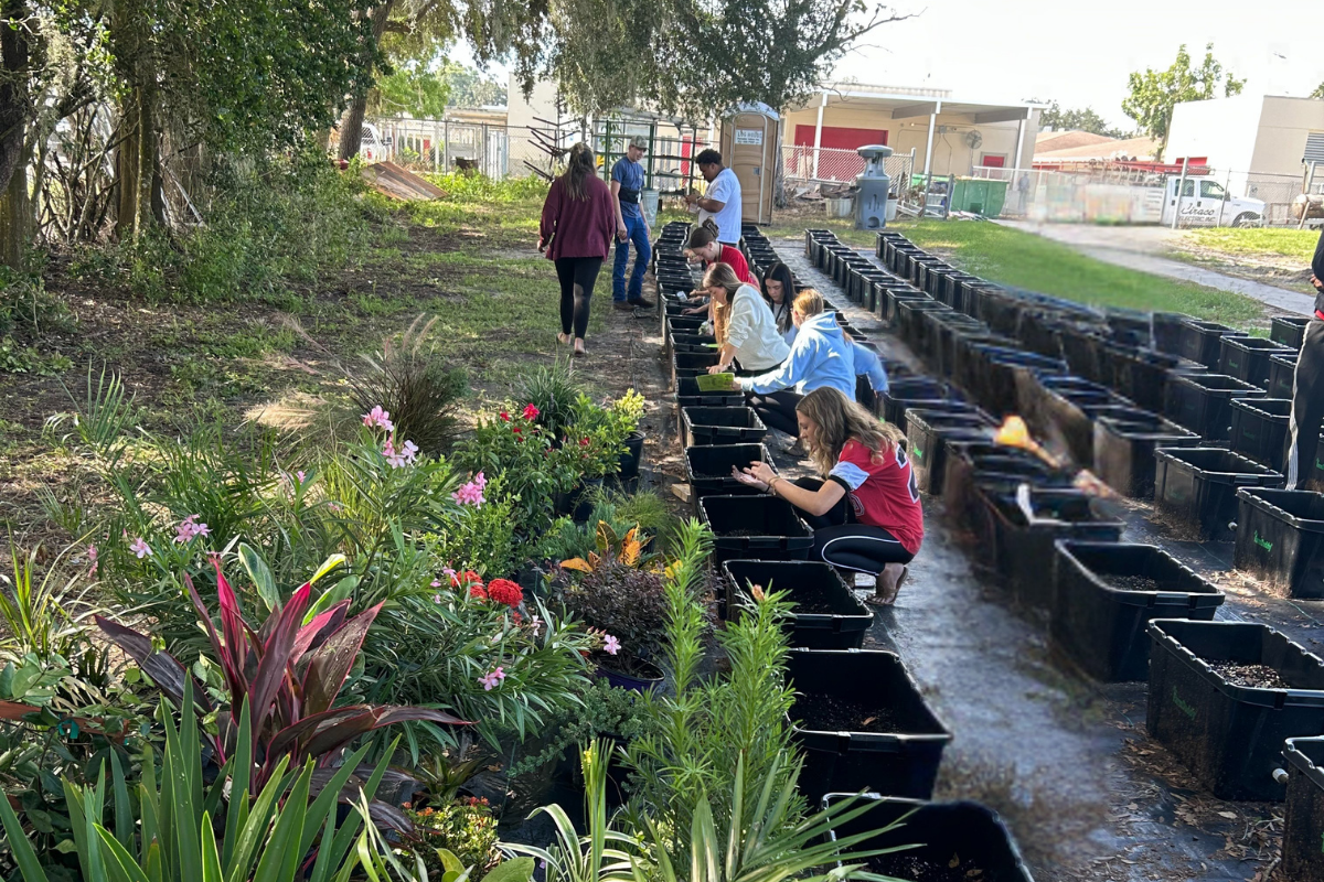 8 Reasons Every School Should Have A Garden