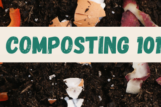 Backyard Composting 101