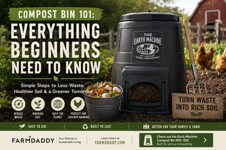 Compost Bin Guide