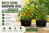 Water Saving Gardening Ideas Using Self Watering Garden System & Containers