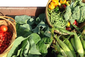 5 Health Benefits of Growing Your Own Food