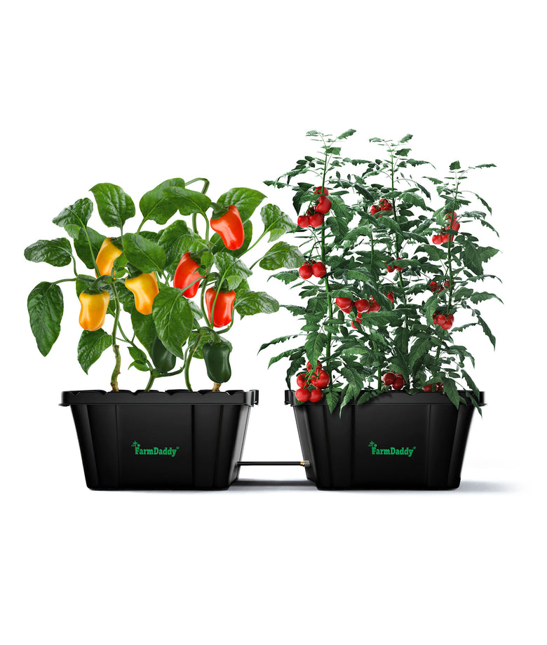 Farmdaddy 2-Planter Self Watering Garden System