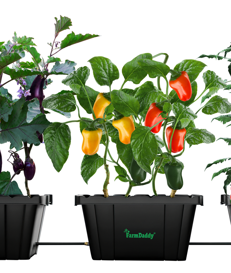 Self Watering Garden Box & GrowBox Planter System