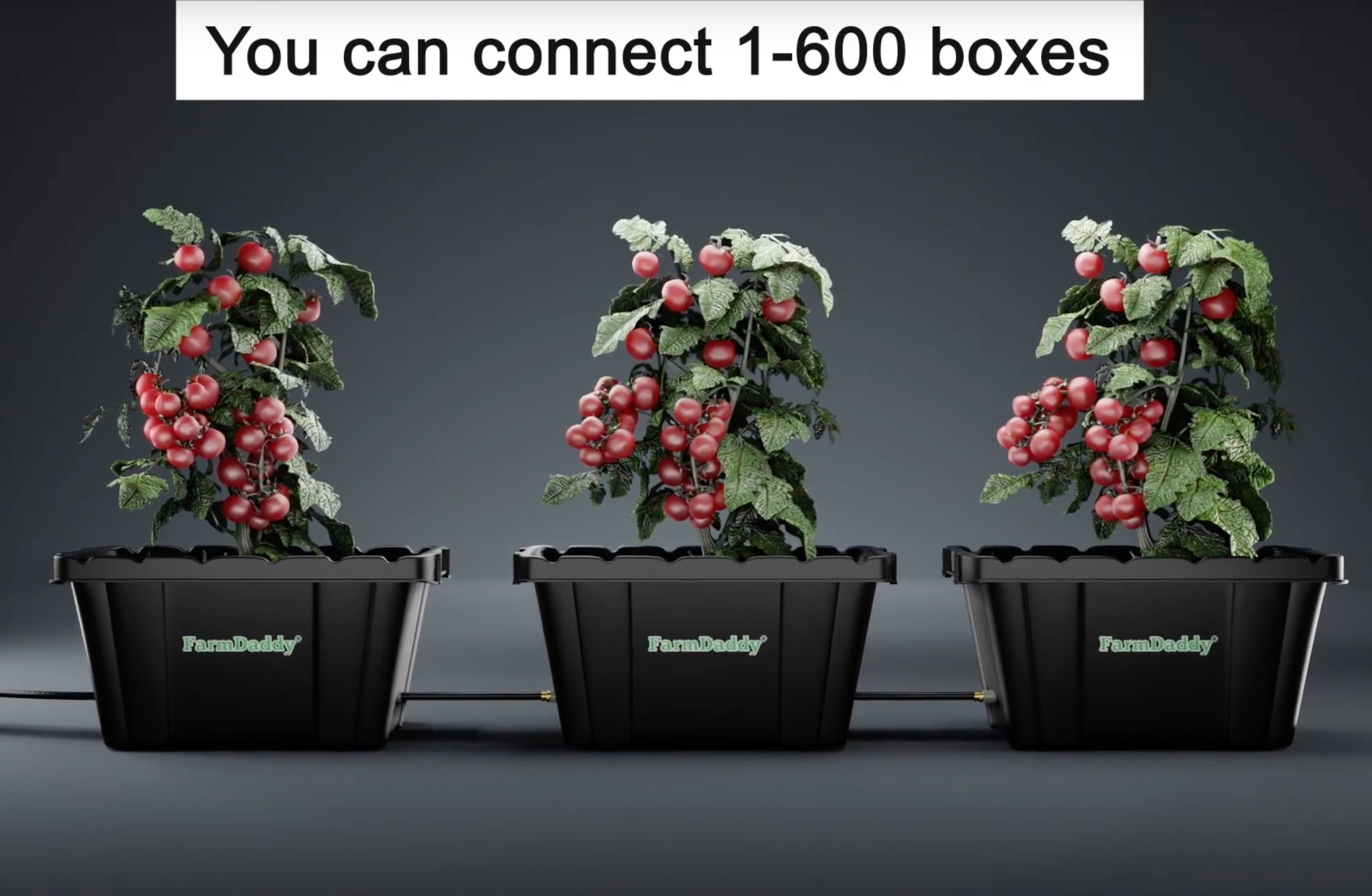 three FarmDaddy garden containers connected by rubber hose