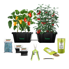 20% OFF !!!! 2 Self-Watering Raised Bed Garden Containers -  Garden Kit includeds 1 connection hose, 2 weed covers,2 bags fertilizer,1 pruning shear,1 bag tomato clips