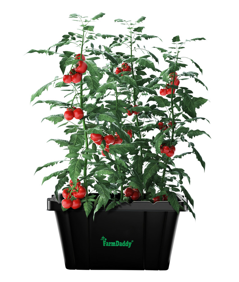 Self Watering Garden Box & GrowBox Planter System